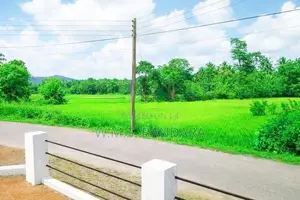 Land Near Dambadeniya Hospital for Sale P3