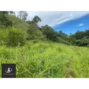 Land For Sale Mortuwa Old Gorkana Road (Dsp 2442 )