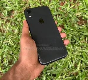 Apple iPhone XR (Used)