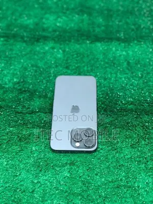 Apple iPhone 15 Pro Max (Used)