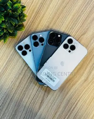 Apple iPhone 13 Pro 256GB (Used)