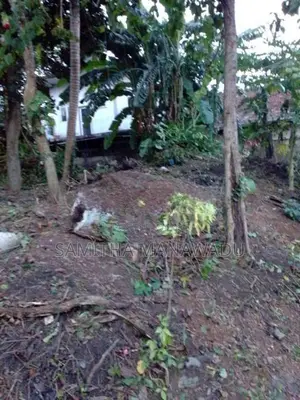 Land for Sale Thalawathugoda