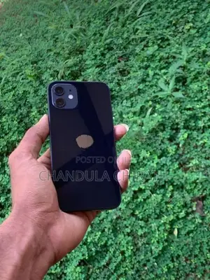 Apple iPhone 12 128GB (Used)