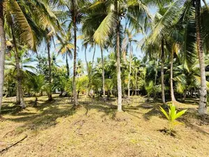58 P Land at 200 M Galle Road Wadduwa Kalutara