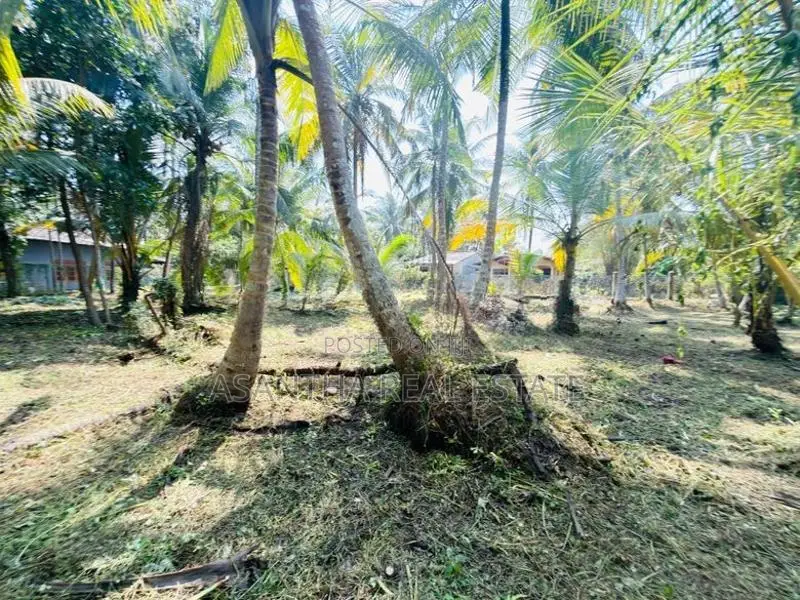 58 P Land at 200 M Galle Road Wadduwa Kalutara