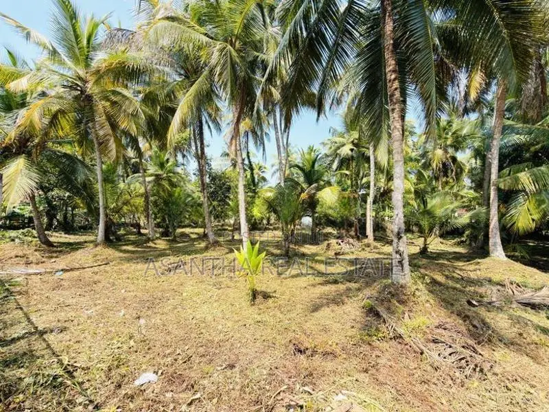 58 P Land at 200 M Galle Road Wadduwa Kalutara
