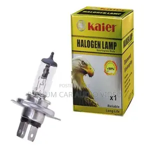 Halogen Bulbs H4 9005