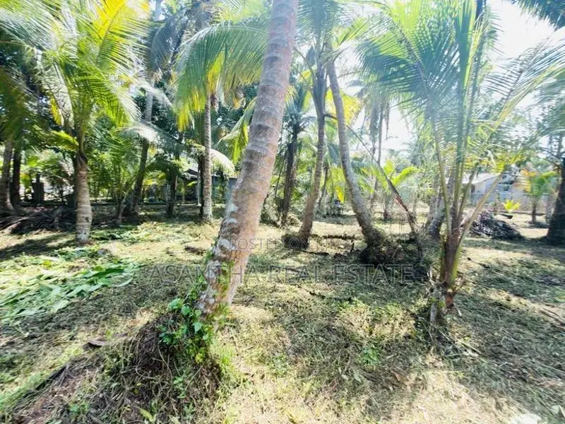 58 P Land at 200 M Galle Road Wadduwa Kalutara