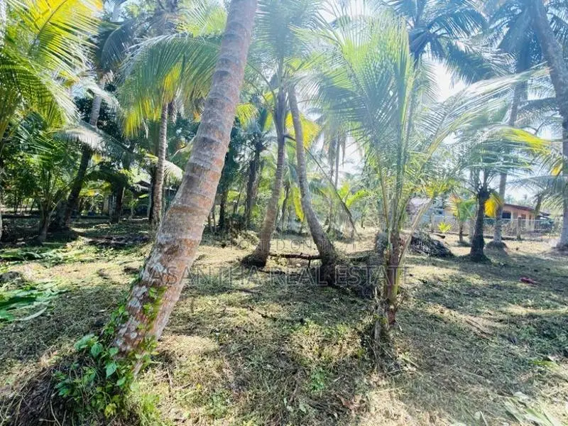 58 P Land at 200 M Galle Road Wadduwa Kalutara