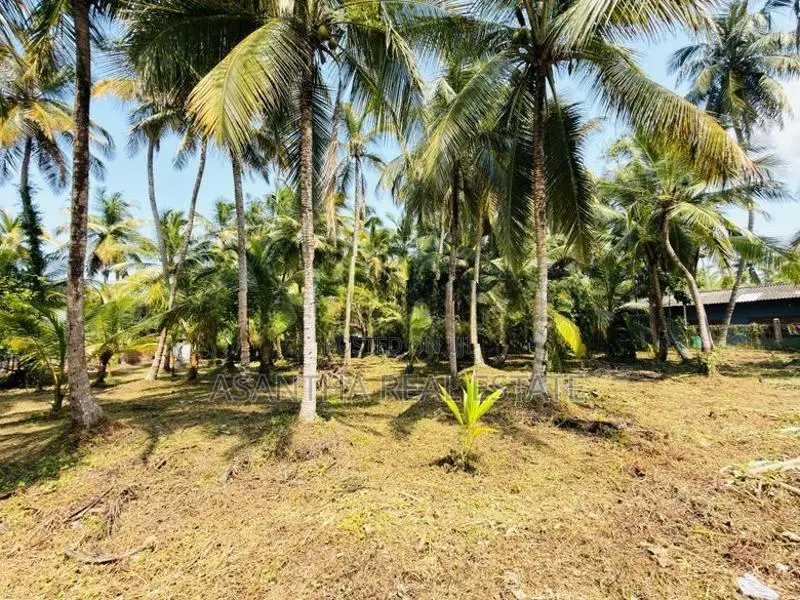 58 P Land at 200 M Galle Road Wadduwa Kalutara