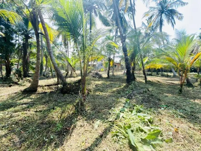 58 P Land at 200 M Galle Road Wadduwa Kalutara