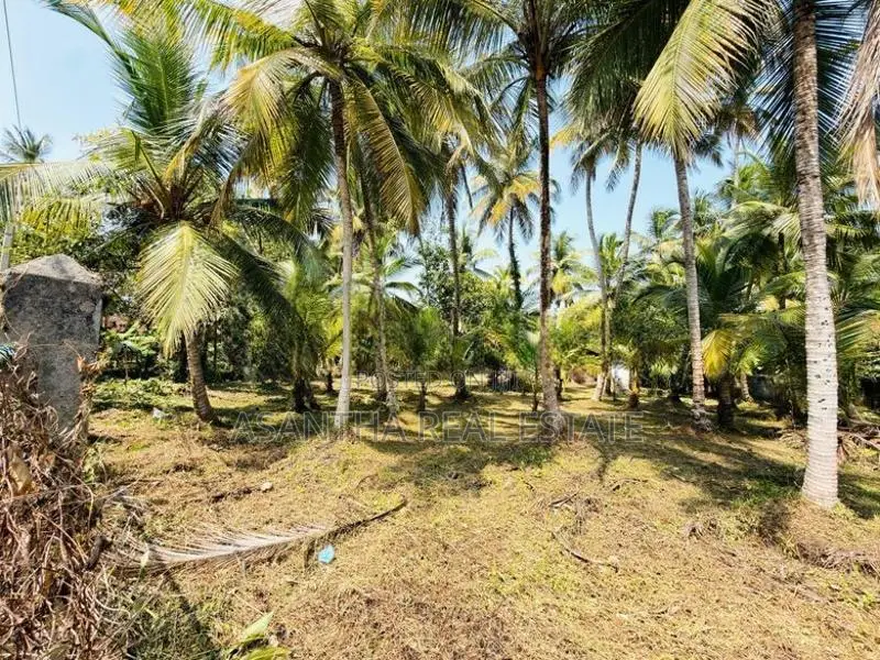 58 P Land at 200 M Galle Road Wadduwa Kalutara