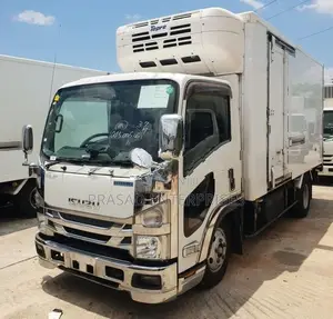 Isuzu Elf -30 2020