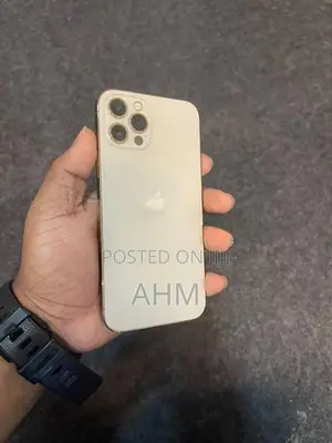 Apple iPhone 12 Pro 256GB (Used)