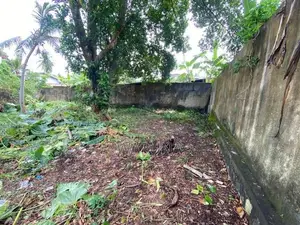 Bare Land Close to Moratuwa University