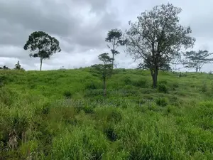 Beautiful Land for Sale Pussellawa