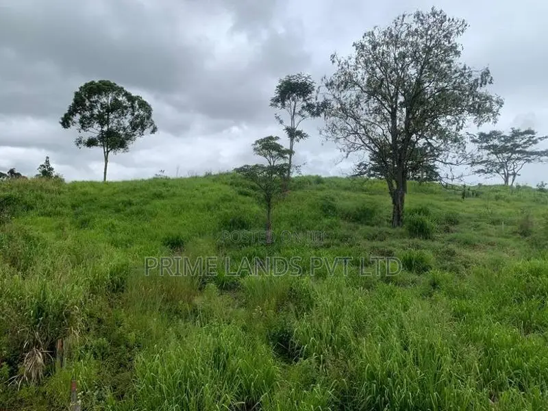 Beautiful Land for Sale Pussellawa