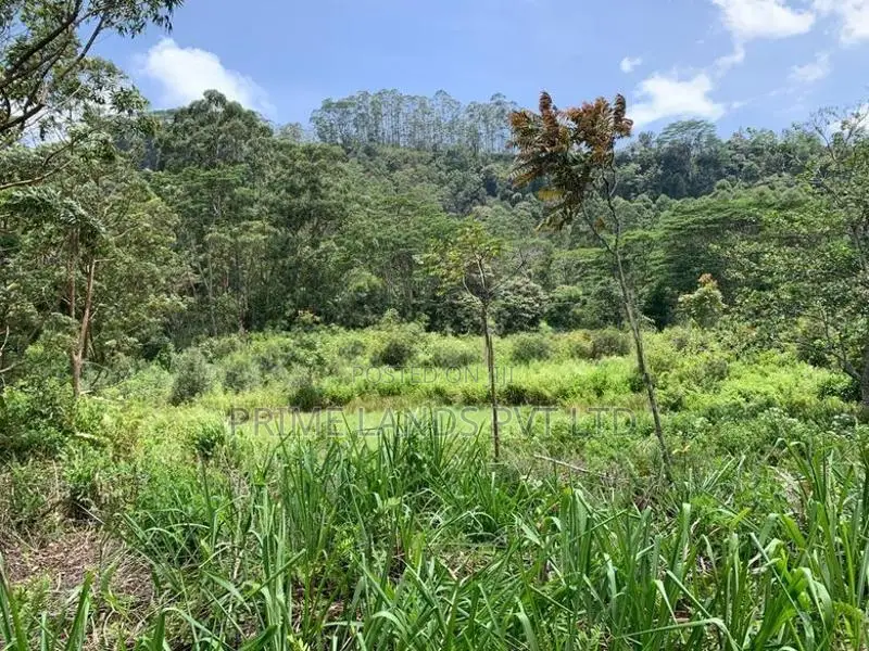 Beautiful Land for Sale Pussellawa