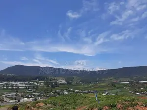 Land for Sale Nuwaraeliya