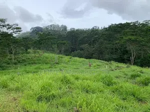 Beautiful Land for Sale Pussellawa