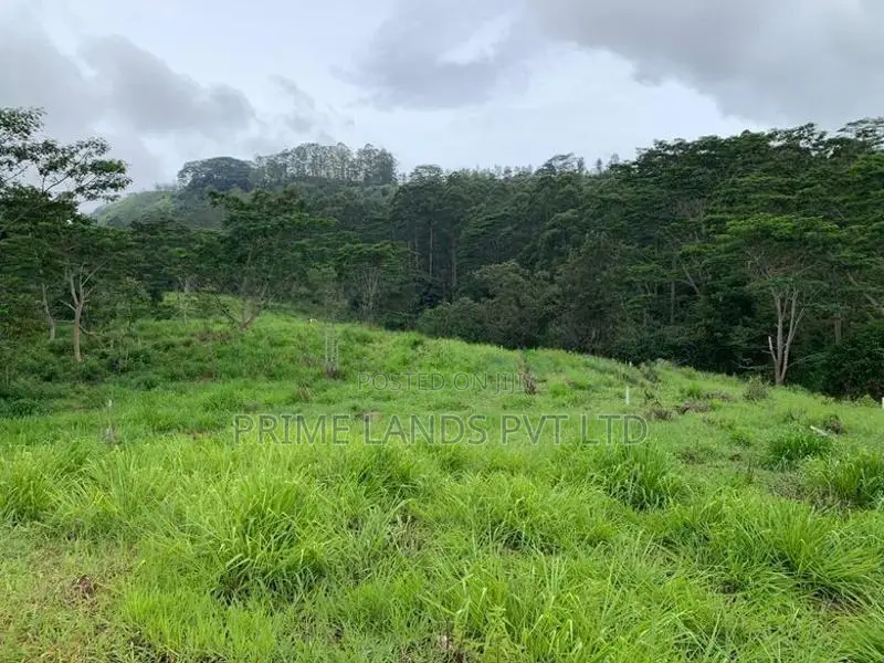 Beautiful Land for Sale Pussellawa