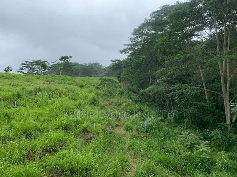 Beautiful Land for Sale Pussellawa