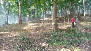 Flat Land for Sale Galagedara