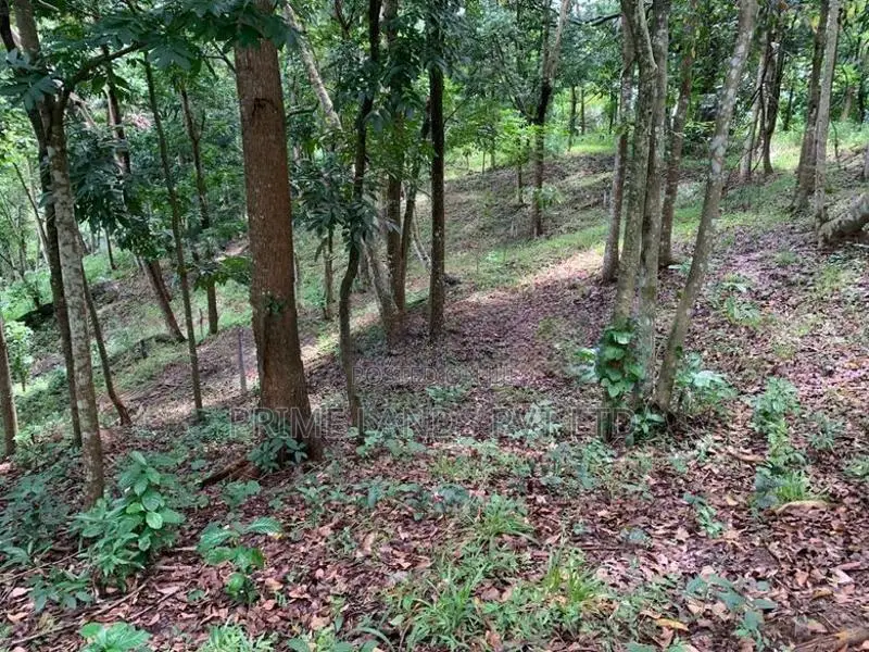 Flat Land for Sale Galagedara