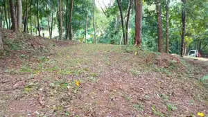 Flat Land for Sale Galagedara