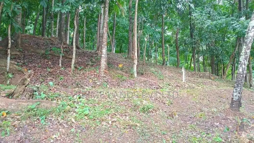 Flat Land for Sale Galagedara