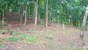 Flat Land for Sale Galagedara