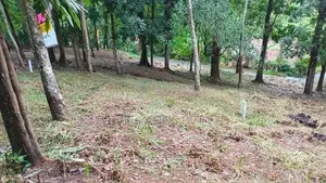 Flat Land for Sale Galagedara