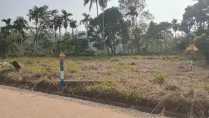 Land for Sale Nawalapitiya