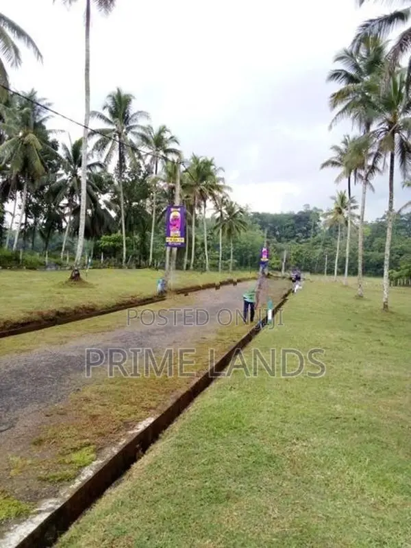 වෙල් යායකට මායිම්ව හොරන නගරයෙන් වටිනා ඉඩමක්