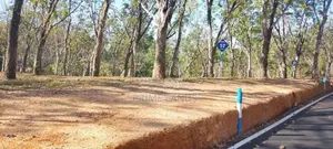 ලස්සන ඉඩමක් හොරන කනන්විල හන්දිය ආසන්නයේන්