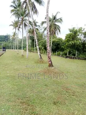වෙල් යායකට මායිම්ව හොරන නගරයෙන් වටිනා ඉඩමක්