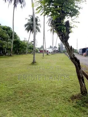 වෙල් යායකට මායිම්ව හොරන නගරයෙන් වටිනා ඉඩමක්