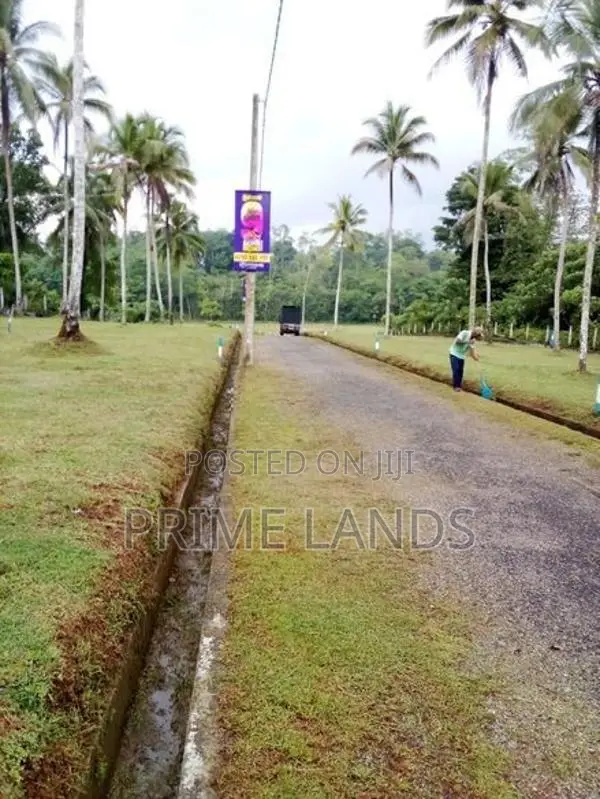 වෙල් යායකට මායිම්ව හොරන නගරයෙන් වටිනා ඉඩමක්