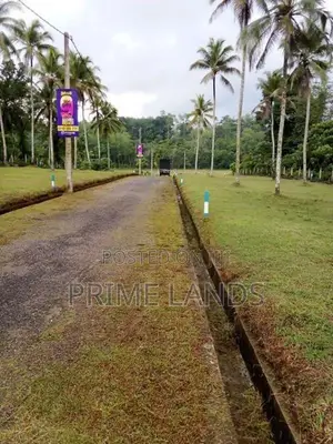වෙල් යායකට මායිම්ව හොරන නගරයෙන් වටිනා ඉඩමක්