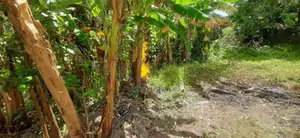 Land for Sale Boralesgamuwa Abagahapura