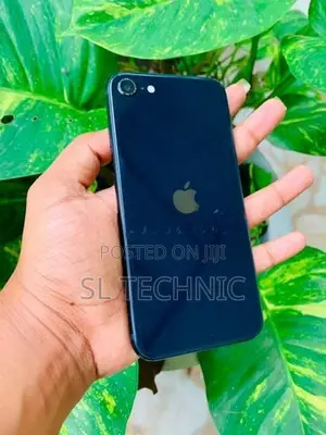 Apple iPhone SE 3 (Used)