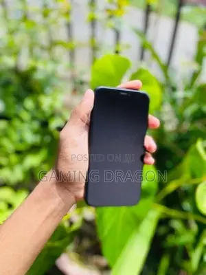 Apple iPhone XR 64GB (Used)