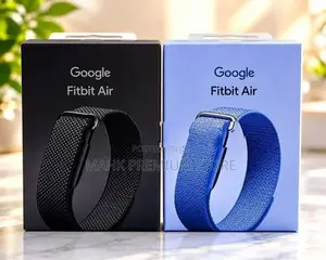 Google Fitbit Air