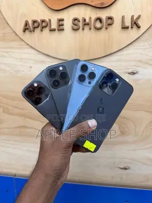 Apple iPhone 13 Pro 256GB (Used)