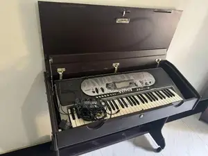Casio Organ