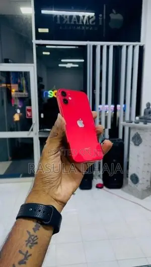 Apple iPhone 12 mini 256GB (Used)