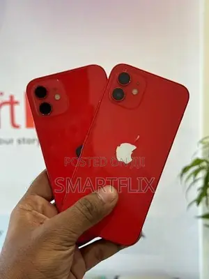 Apple iPhone 12 (Used)