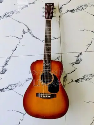 Acoustic guitar
