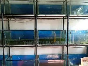Fish Tank with stand