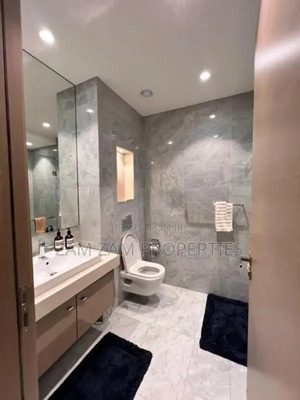 Super Luxury Apartment For Rent In The Address Colombo 3